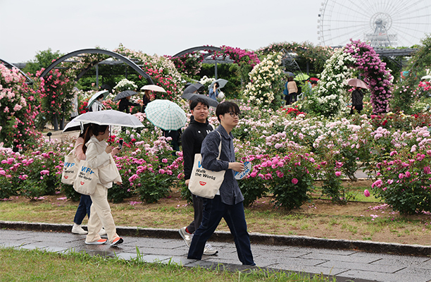 写真