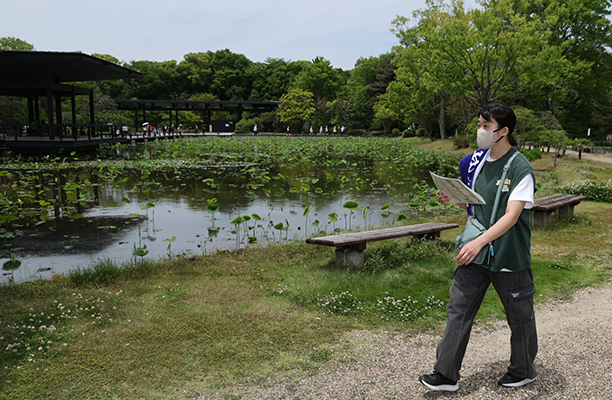 写真